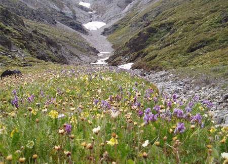 image005.jpg