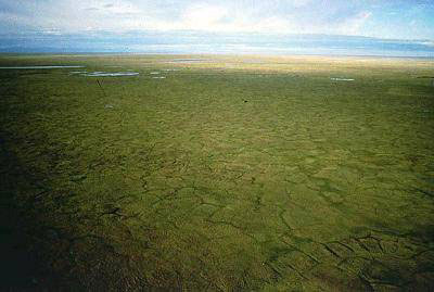 image009.jpg